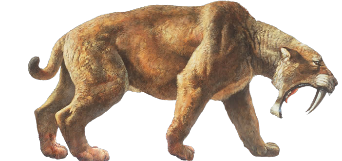 Smilodon